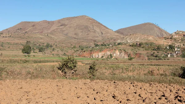 Mezőgazdasági területek Madagaszkáron — Stock Fotó