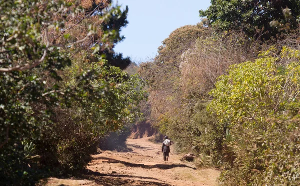 Öregember sétál egy rossz úton Madagaszkár — Stock Fotó