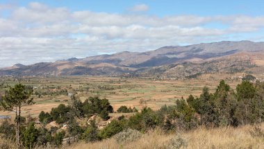 Madagaskar 'ın ortasındaki manzara