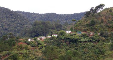 Tipik Malagasy manzarası