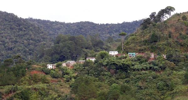 Typiskt madagaskiska landskap — Stockfoto