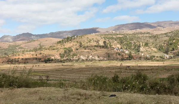 Paisaje en el centro de Madagascar —  Fotos de Stock