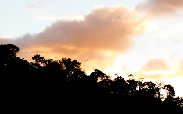 Zonsondergang boven de Malagassische jungle — Stockfoto