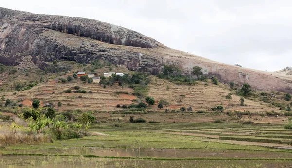 Tipikus táj Madagaszkár déli részén — Stock Fotó