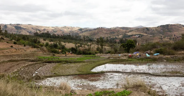 Paisaje típico en el sur de Madagascar —  Fotos de Stock