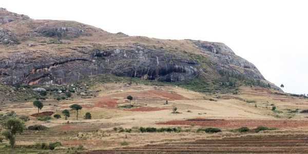 Paysage typique du sud de Madagascar — Photo