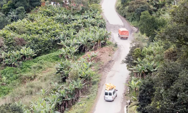 Mountain road going through tropical rainforest landscape — Stock Photo, Image