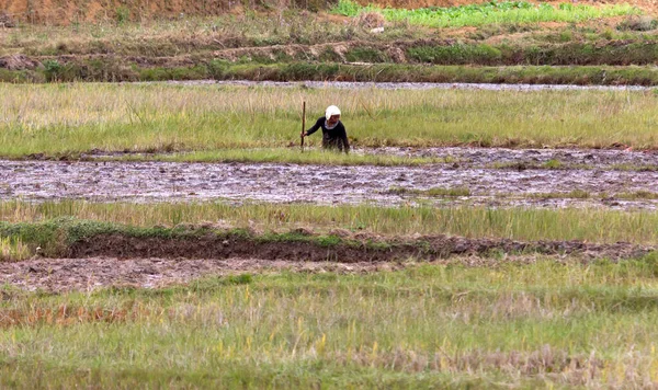 Antsirabe, Madagascar en julio 25, 2019 - Mujer soltera trabajando en — Foto de Stock