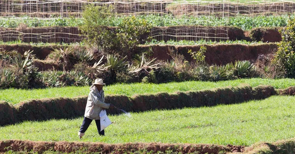 Antsirabe, Madagascar on july 26, 2019 - Single man working on a — Stock Photo, Image