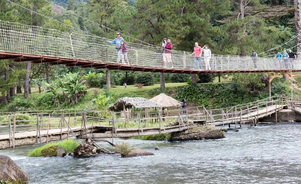 Ranomafana, Madagascar le 28 juillet 2019 - Instable vieux bois br — Photo