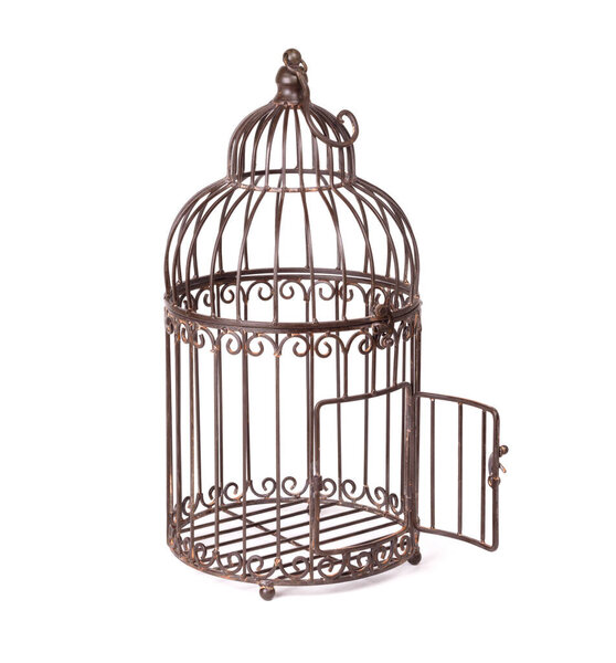 Empty birdcage on white background