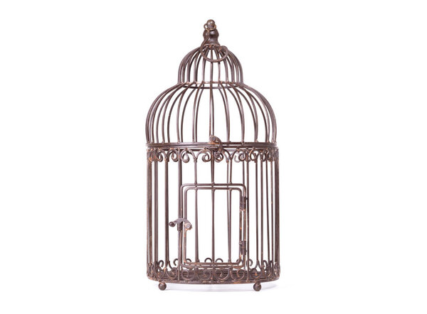 Empty birdcage on white background