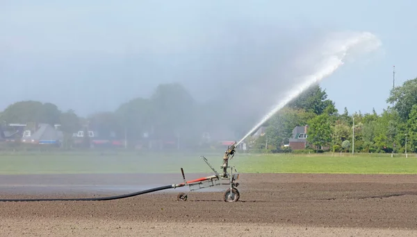 Veld Wordt Geïrrigeerd Door Een Grote Waterstraal Het Nederlandse Platteland — Stockfoto