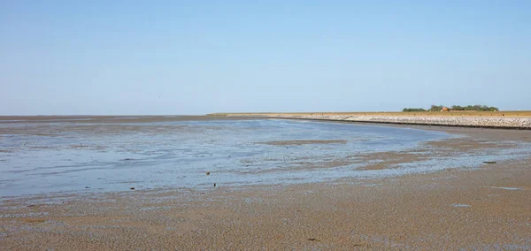 Leran Fladdrar Vaddensea Friesland — Stockfoto