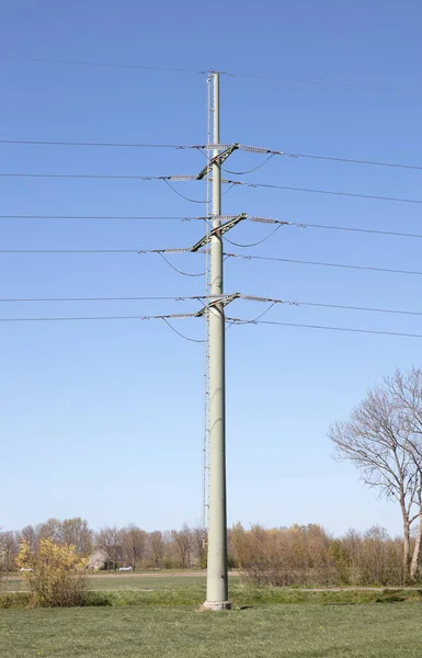 Electricity Pole Nature Friesland Netherlands — Stock Photo, Image