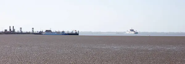 2020年5月30日オランダ アメリカ フェリーの到着とともに水辺の泥床 — ストック写真
