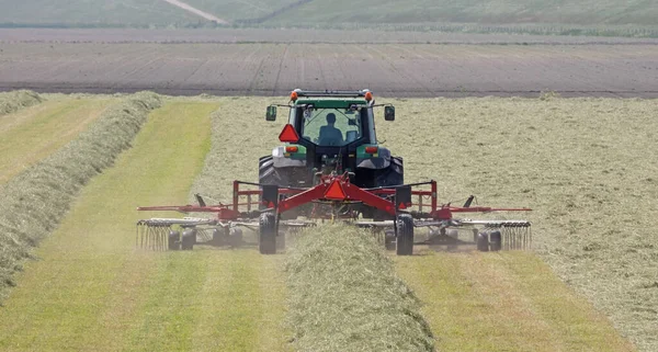 Traktor Dan Turner Rumput Bekerja Padang Rumput Belanda Pembuatan Jerami — Stok Foto