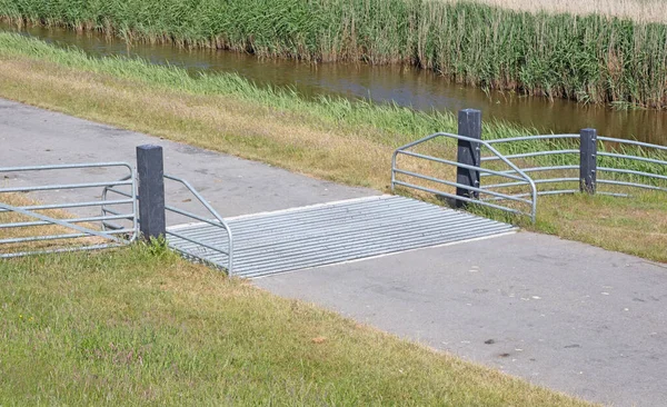 Rindergitter Boden Ein Hindernis Das Verwendet Wird Wildvieh Und Andere — Stockfoto