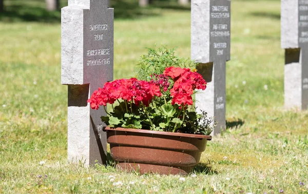 Luxemburgo Luxemburgo Julio 2020 Tumba Cementerio Guerra Sandweiler Luxemburgo —  Fotos de Stock