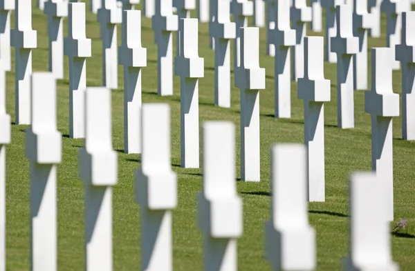卢森堡的美国垂死挣扎中的一排排坟墓 — 图库照片