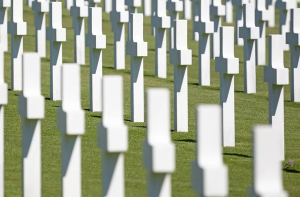 Fileiras Sepulturas Cemitério Mlitário Americano Luxemburgo — Fotografia de Stock