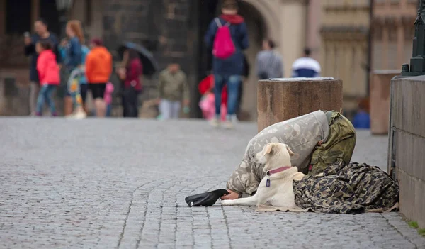 Beggar Dog Begging Alms Street Prague Czech Republic — Stock Photo, Image