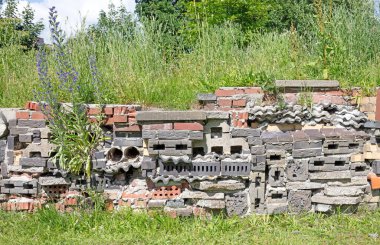 Yeşil çimenlikteki büyük böcek oteli