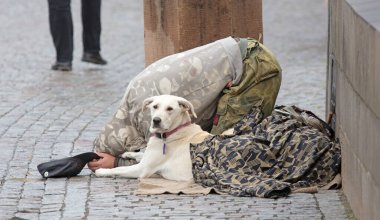 Çek Cumhuriyeti Prag 'da sokakta köpek dilenen dilenci.