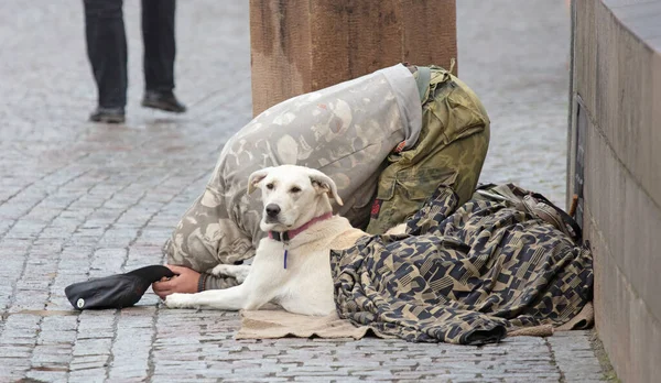 Begär Med Hund Tigger Allmosor Gatan Prag Tjeckien — Stockfoto