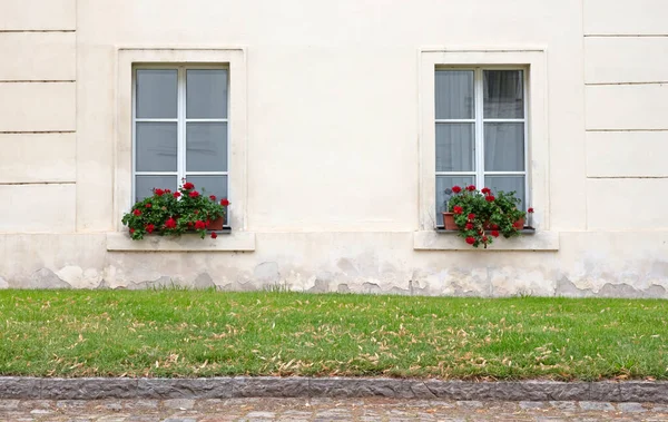 Вікна Білій Стіні Вікна Прекрасними Барвистими Квітами — стокове фото