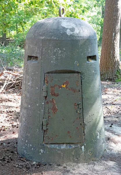 Liten Bunker Från Ww2 Holländsk Skog — Stockfoto