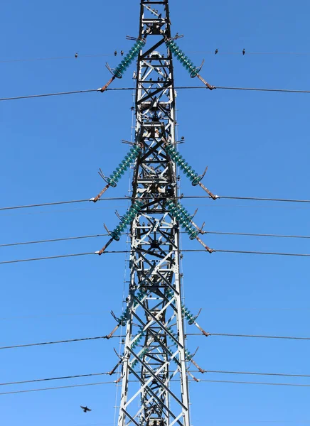 Energisk Pylon Med Mycket Starar Nederländerna — Stockfoto