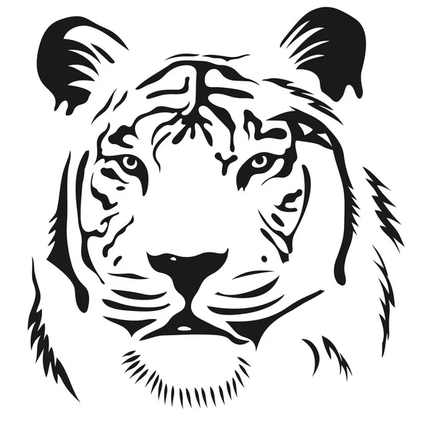 Imagen Gráfica Cara Tigre — Vector de stock