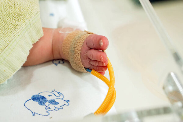 Sick newborn baby foot Insert a strap to measure oxygen in the blood and see the oxygen value for organs.