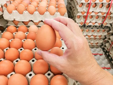 El kahverengi tavuk yumurta yumurta paneli içinde belgili tanımlık çarşı yığınları üzerinde insanlar holding ve gösteri boyutu.