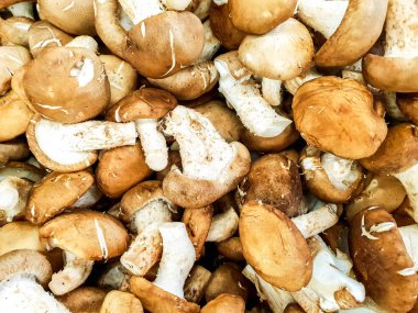 Tatlı ve taze Çin Shitake mantar satış içinde belgili tanımlık çarşı için yığını üstten görünüm ekran arka planı ve duvar kağıdı için uygun.