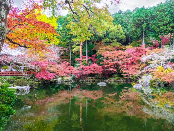 真っ青な空を背景に池と影の反射を持つカエデの木の美しく 複数の色 — ストック写真