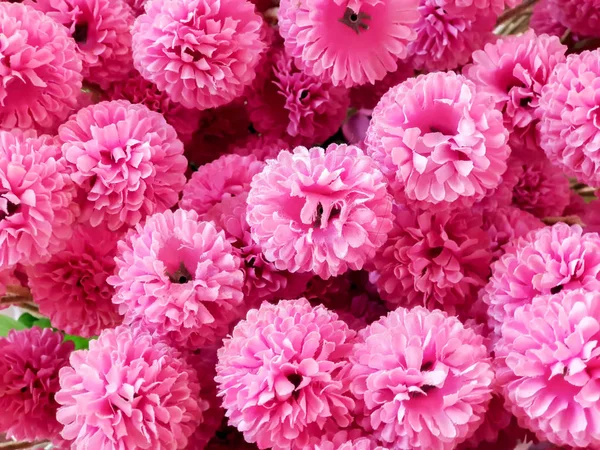 Closeup Top View Fabric Pink Flowers Fit Screen Background Wallpaper — Stock Photo, Image