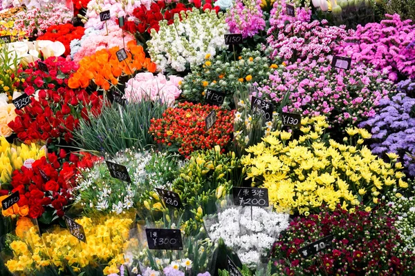 Osaka Giappone Gennaio 2019 Primo Piano Raccolto Molti Fiori Belli — Foto Stock