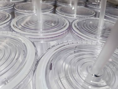 Doğal ışıklı kapak ve plastik camın yakın çekim ve mahsulü.