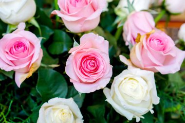 Üst görünüm ve bulanık arka plan üzerinde düğün pembe gül çiçek buketi closeup.