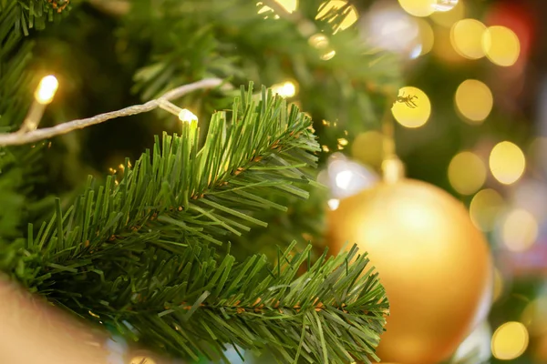 Closeup ใบสนและลูกบอลคริสต์มาสทองตกแต่งบนต้นสน — ภาพถ่ายสต็อก