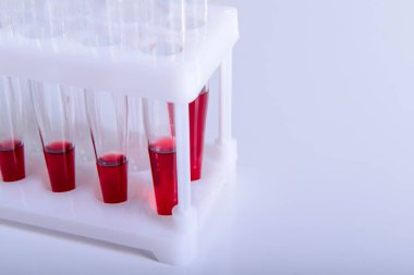 Bilim laboratuvarı araştırma ve geliştirme kavramı mikroskopla test tüpleri laboratuvar araştırma ve ekipman Kimya deneyi