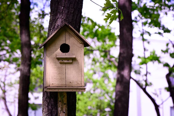 Houten Vogelhuisje Een Boom Het Park Natuur Scene — Stockfoto