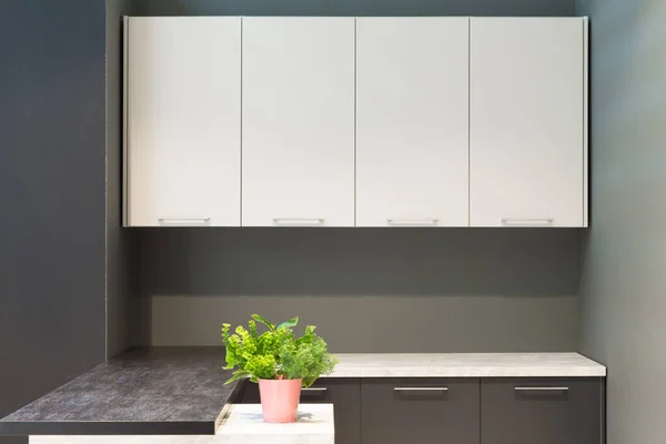 Moderne Keuken Interieur Met Meubels Bloemen Toonbank Voor Een Concept — Stockfoto