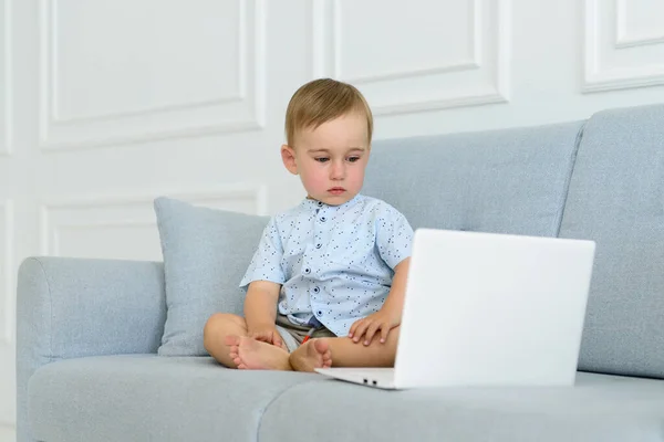 Interested Baby Laptop Learner Child Sofa — Stock Photo, Image