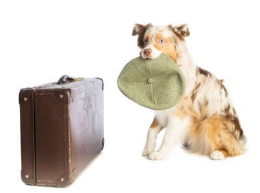 bavul ile Amerikan çoban ve ve kap beyaz zemin üzerine ağzına