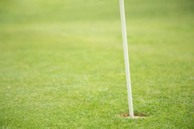 Bir golf sahası ile arka plan bulanık Piquet