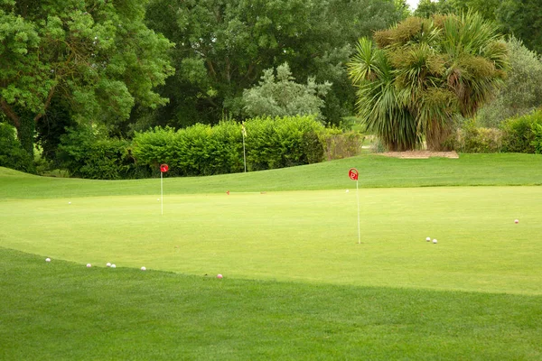 Campo Golf Con Árboles Pelotas Clavijas Tonos Verdes —  Fotos de Stock