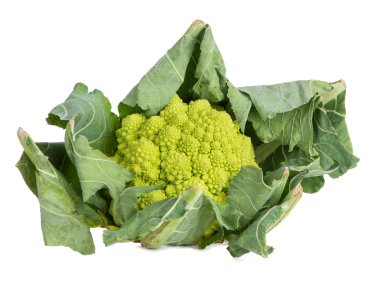 Romanesco lahana yaprakları üzerinde beyaz bir arka plan ile